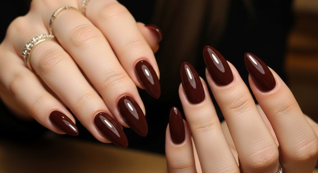 Chocolate Brown Richness